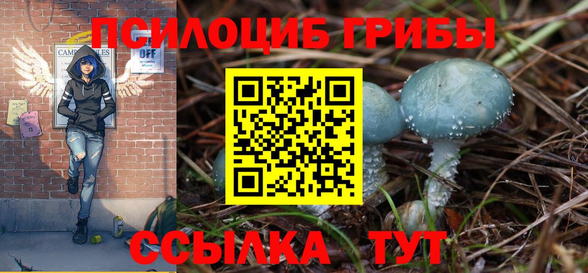 Галлюциногенные грибы MAGIC MUSHROOMS  Вход с VPN  Гатчина 