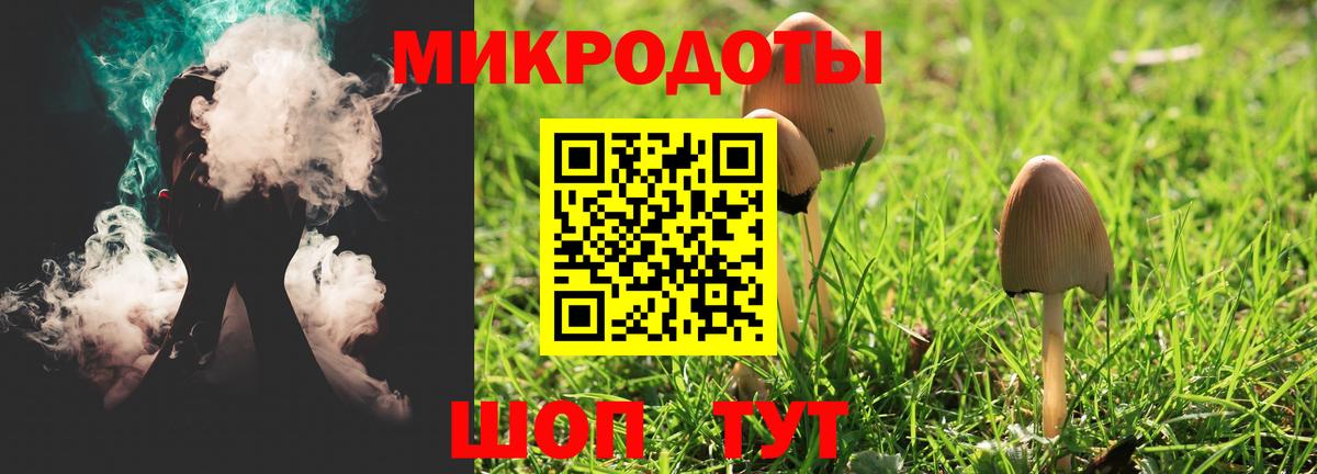 Галлюциногенные грибы Magic Shrooms Гатчина
