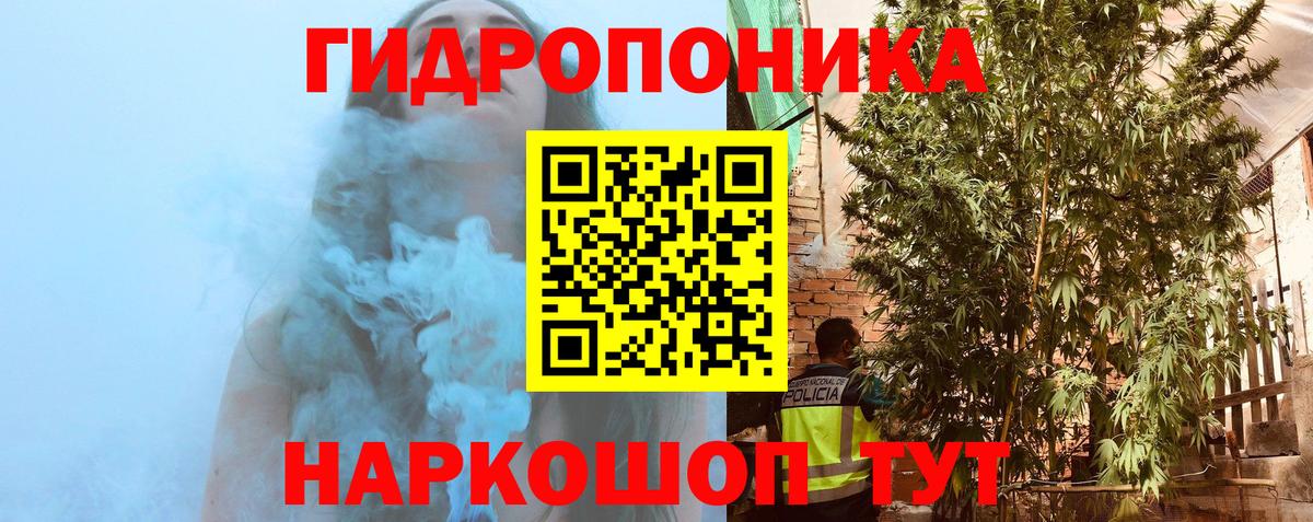 Бошки марихуана White Widow  Каннабис THC 21%  Вход с VPN  МАРИХУАНА THC 21%  Гатчина 